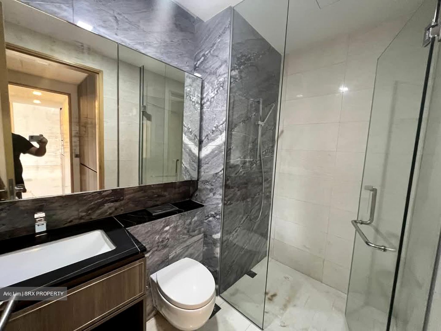 Goodwood Grand (D10), Apartment #566724911